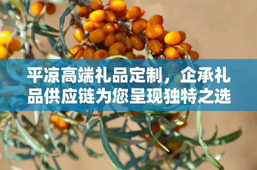 平凉高端礼品定制，企承礼品供应链为您呈现独特之选