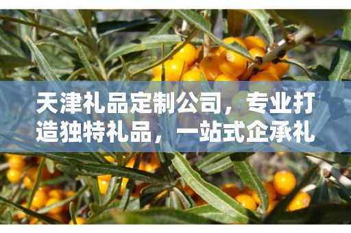 天津礼品定制公司，专业打造独特礼品，一站式企承礼品供应链