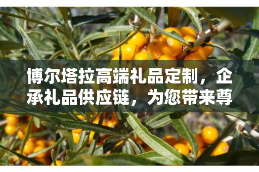 博尔塔拉高端礼品定制，企承礼品供应链，为您带来尊贵之选