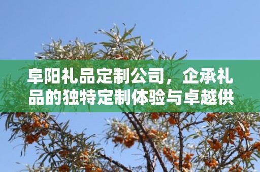 阜阳礼品定制公司，企承礼品的独特定制体验与卓越供应链服务