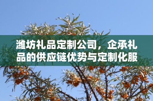 潍坊礼品定制公司，企承礼品的供应链优势与定制化服务