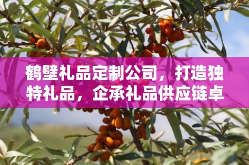 鹤壁礼品定制公司，打造独特礼品，企承礼品供应链卓越服务