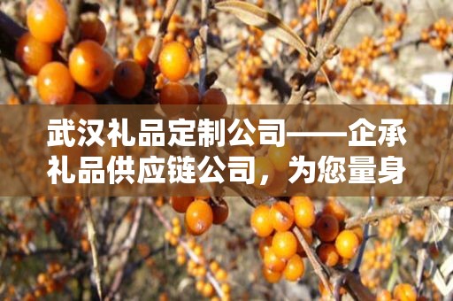 武汉礼品定制公司——企承礼品供应链公司，为您量身定制专属礼品