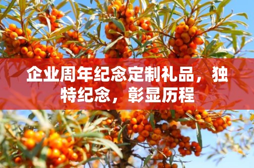 企业周年纪念定制礼品，独特纪念，彰显历程