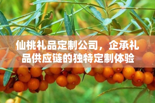 仙桃礼品定制公司，企承礼品供应链的独特定制体验
