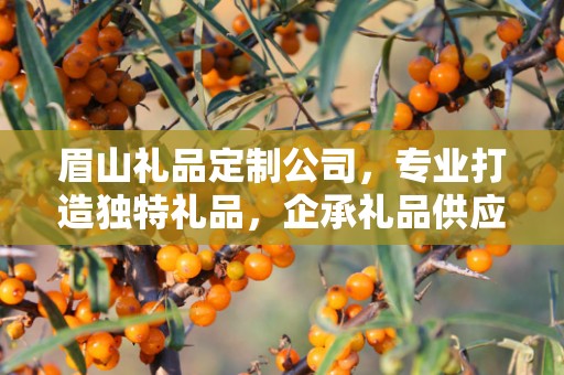 眉山礼品定制公司，专业打造独特礼品，企承礼品供应链卓越服务
