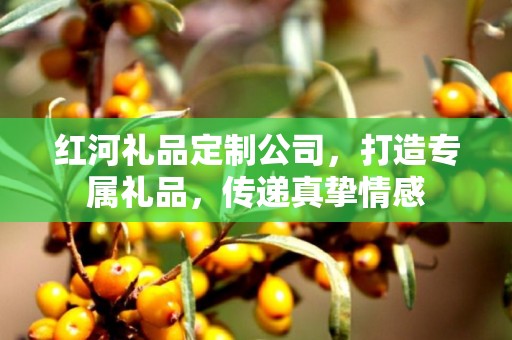 红河礼品定制公司，打造专属礼品，传递真挚情感