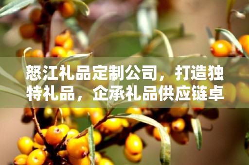怒江礼品定制公司，打造独特礼品，企承礼品供应链卓越服务