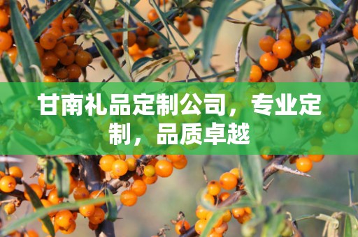 甘南礼品定制公司，专业定制，品质卓越