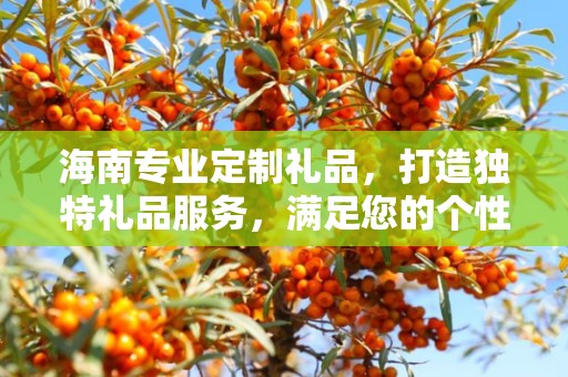 海南专业定制礼品，打造独特礼品服务，满足您的个性化需求