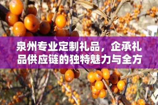 泉州专业定制礼品，企承礼品供应链的独特魅力与全方位服务