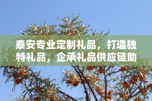 泰安专业定制礼品，打造独特礼品，企承礼品供应链助力商务推广