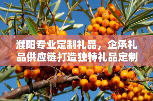 濮阳专业定制礼品，企承礼品供应链打造独特礼品定制体验