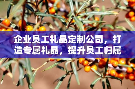 企业员工礼品定制公司，打造专属礼品，提升员工归属感
