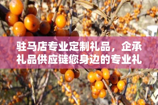驻马店专业定制礼品，企承礼品供应链您身边的专业礼品定制公司