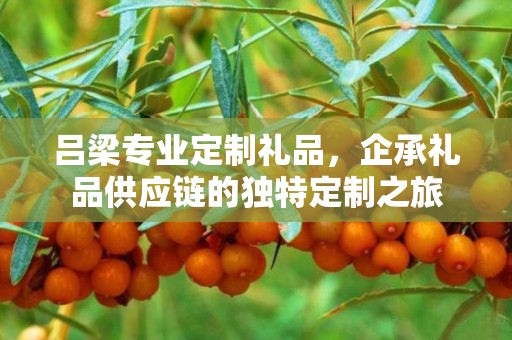 吕梁专业定制礼品，企承礼品供应链的独特定制之旅
