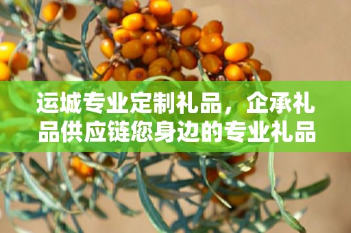 运城专业定制礼品，企承礼品供应链您身边的专业礼品定制公司