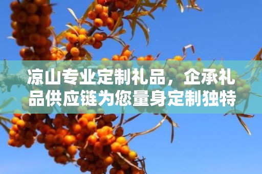 凉山专业定制礼品，企承礼品供应链为您量身定制独特礼品