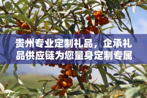 贵州专业定制礼品，企承礼品供应链为您量身定制专属礼品
