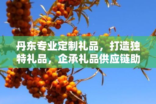 丹东专业定制礼品，打造独特礼品，企承礼品供应链助力商务发展