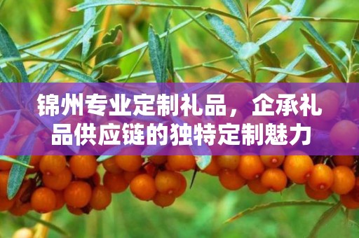 锦州专业定制礼品，企承礼品供应链的独特定制魅力