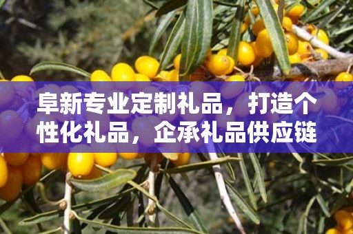 阜新专业定制礼品，打造个性化礼品，企承礼品供应链卓越服务