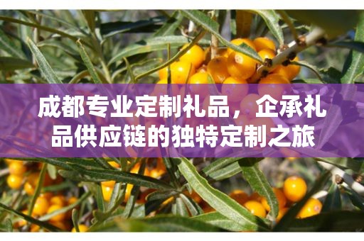 成都专业定制礼品，企承礼品供应链的独特定制之旅