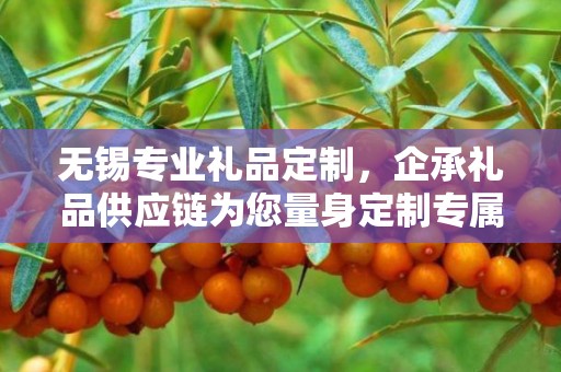 无锡专业礼品定制，企承礼品供应链为您量身定制专属礼品
