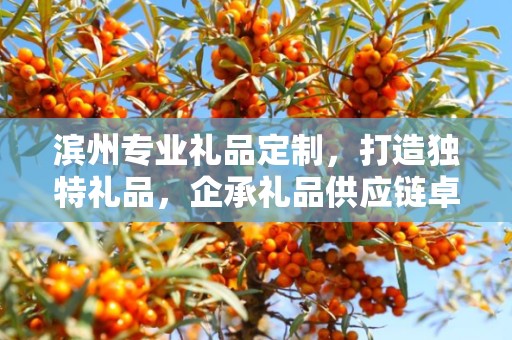 滨州专业礼品定制，打造独特礼品，企承礼品供应链卓越服务