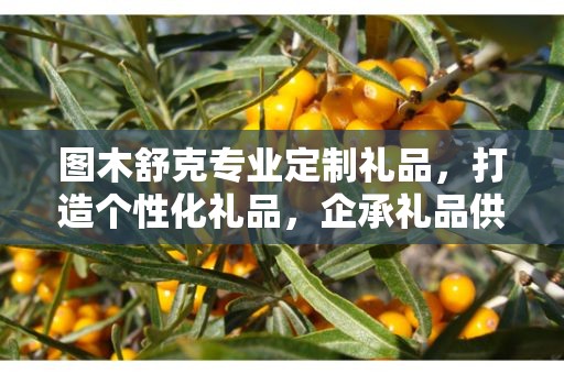 图木舒克专业定制礼品，打造个性化礼品，企承礼品供应链助力商务推广