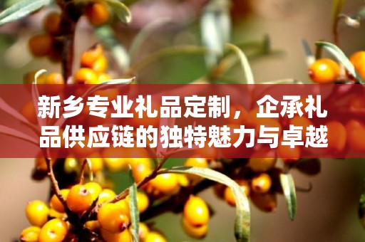 新乡专业礼品定制，企承礼品供应链的独特魅力与卓越服务