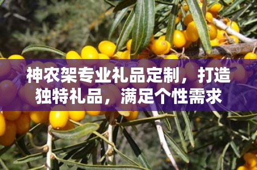 神农架专业礼品定制，打造独特礼品，满足个性需求