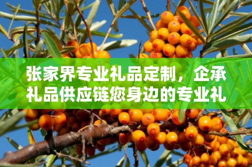 张家界专业礼品定制，企承礼品供应链您身边的专业礼品定制公司