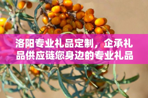 洛阳专业礼品定制，企承礼品供应链您身边的专业礼品定制公司