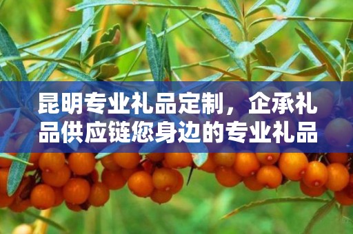昆明专业礼品定制，企承礼品供应链您身边的专业礼品定制公司