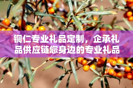 铜仁专业礼品定制，企承礼品供应链您身边的专业礼品定制公司