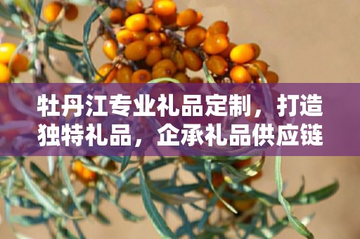 牡丹江专业礼品定制，打造独特礼品，企承礼品供应链助力商务发展