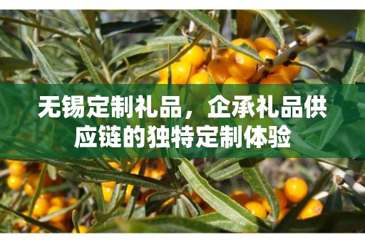 无锡定制礼品，企承礼品供应链的独特定制体验