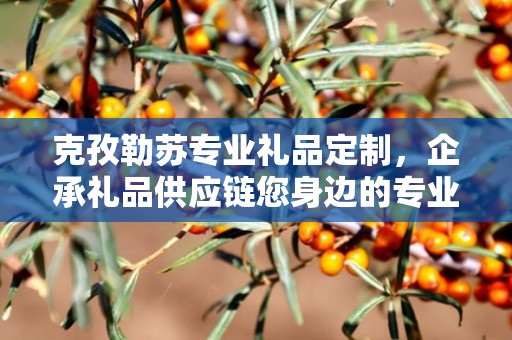 克孜勒苏专业礼品定制，企承礼品供应链您身边的专业礼品定制公司