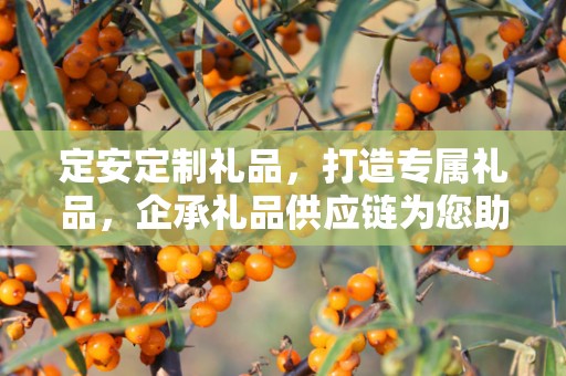 定安定制礼品，打造专属礼品，企承礼品供应链为您助力
