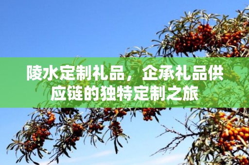 陵水定制礼品，企承礼品供应链的独特定制之旅