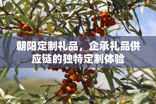 朝阳定制礼品，企承礼品供应链的独特定制体验