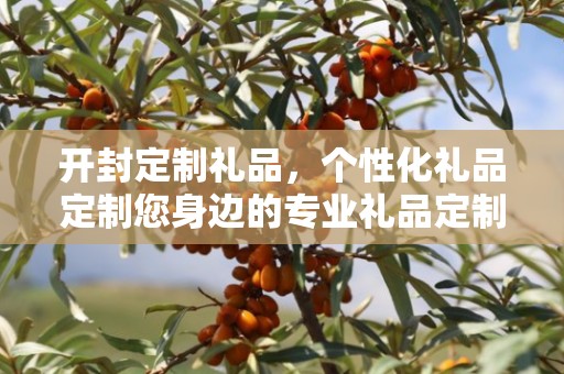 开封定制礼品，个性化礼品定制您身边的专业礼品定制公司