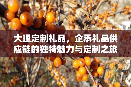 大理定制礼品，企承礼品供应链的独特魅力与定制之旅