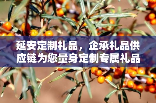 延安定制礼品，企承礼品供应链为您量身定制专属礼品