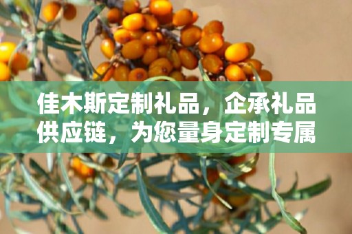 佳木斯定制礼品，企承礼品供应链，为您量身定制专属礼品