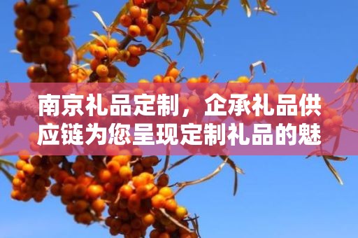 南京礼品定制，企承礼品供应链为您呈现定制礼品的魅力