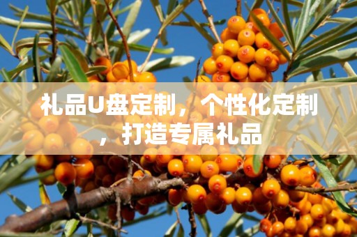 礼品U盘定制，个性化定制，打造专属礼品