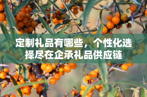 定制礼品有哪些，个性化选择尽在企承礼品供应链
