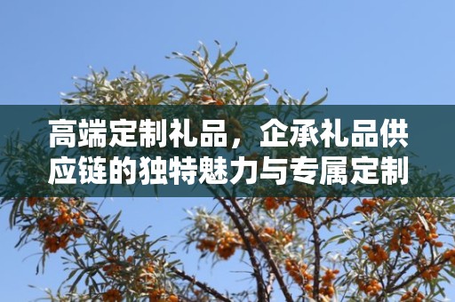 高端定制礼品，企承礼品供应链的独特魅力与专属定制体验